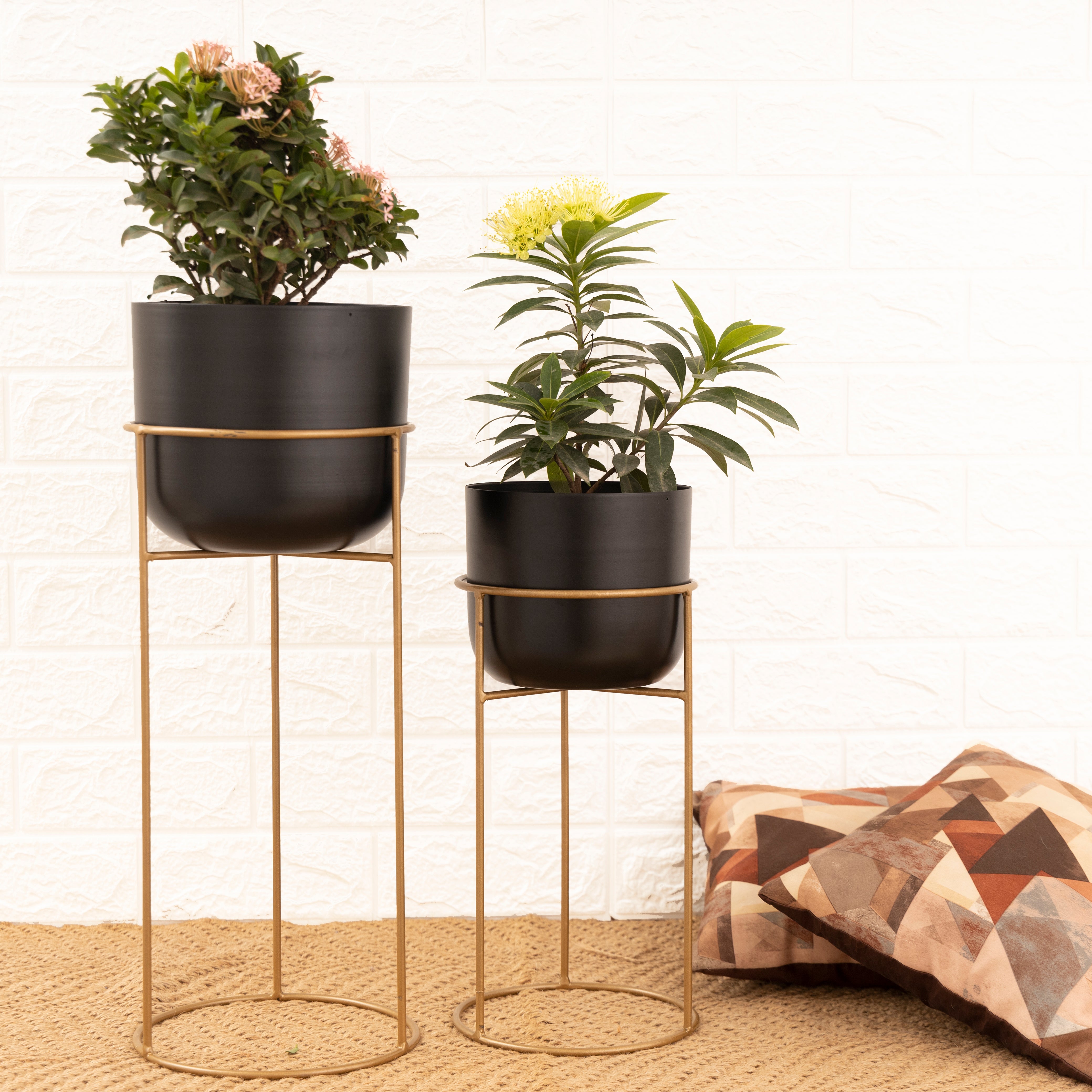 Allura Black Set Planter (Set of 2)